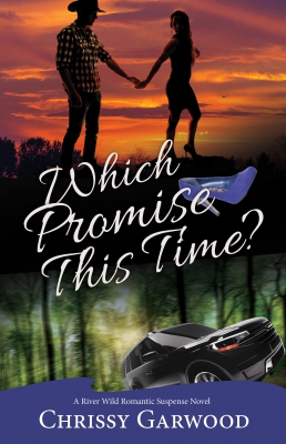 Which Promise This Time? : River Wild Romantic Suspense #4