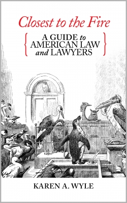 Closest to the Fire: A Guide to American Law and Lawyers