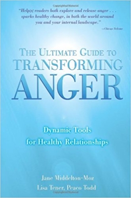 The Ultimate Guide to Transforming Anger: Dynamic Tools for Healthy Relationships