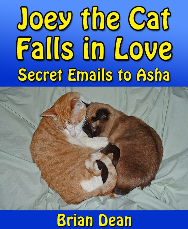 Joey the Cat Falls in Love - Secret eMails to Asha