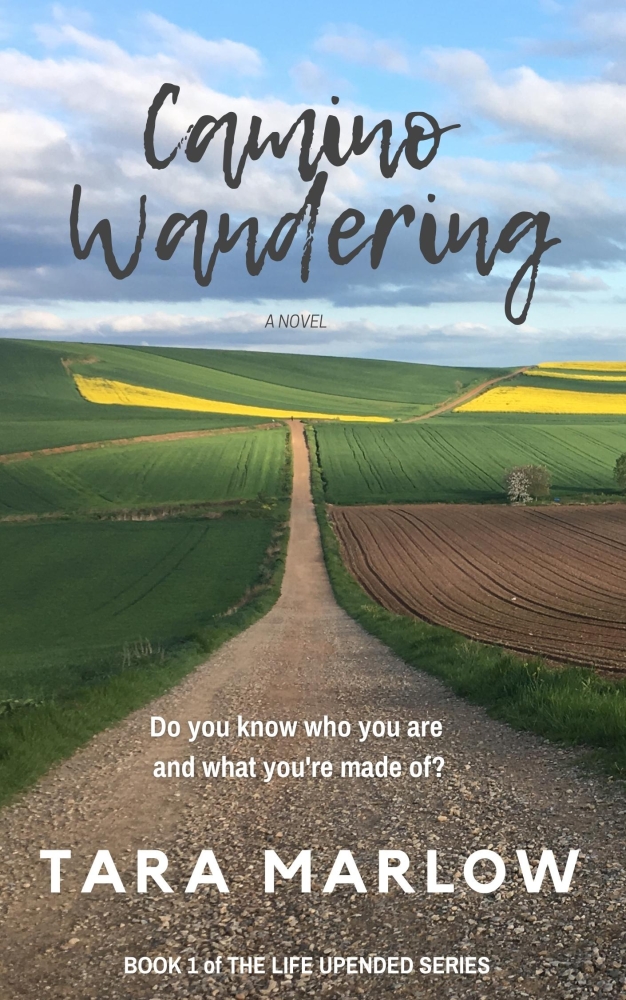 'Camino Wandering' 