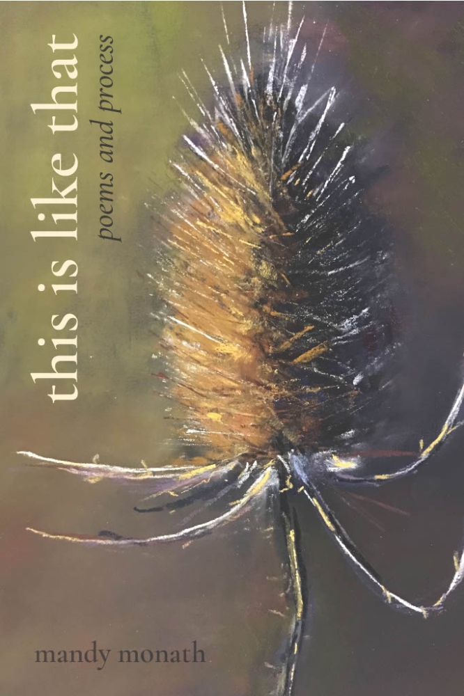 This Is Like That: Poems and Process