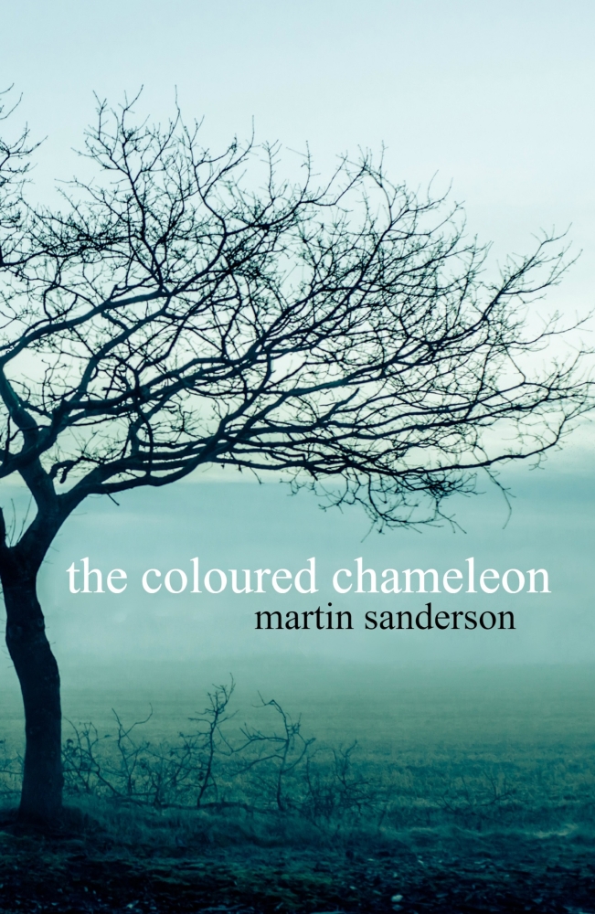 The Coloured Chameleon