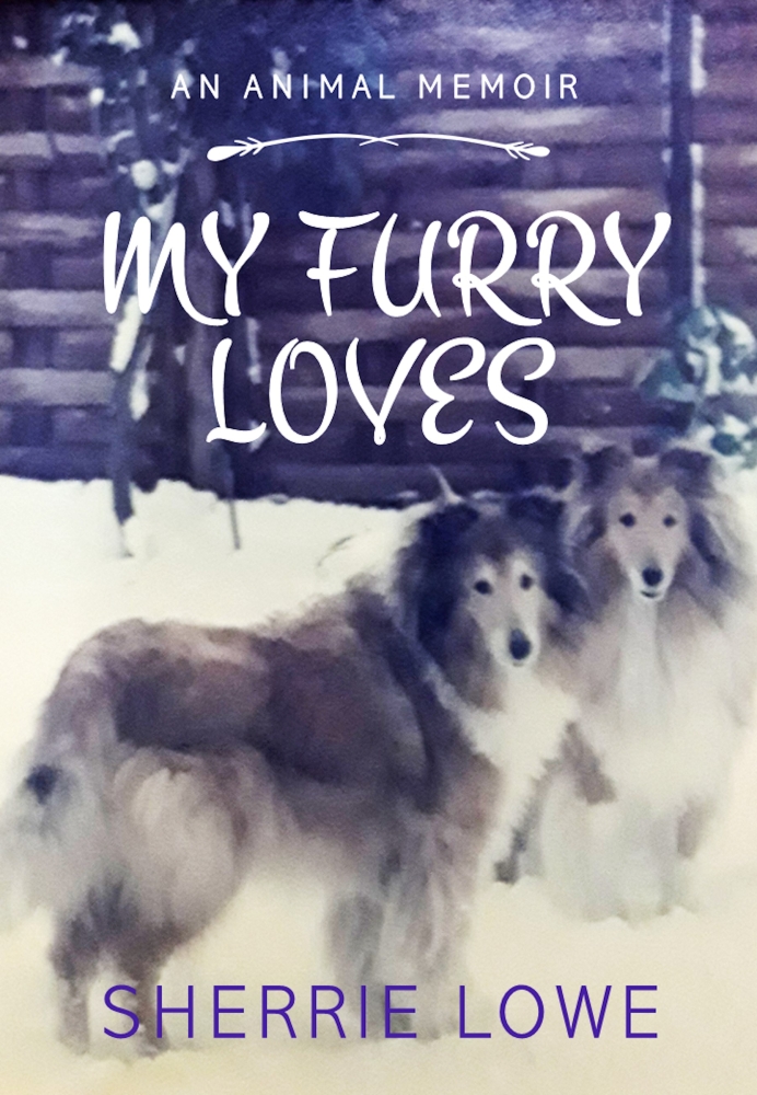 My Furry Loves