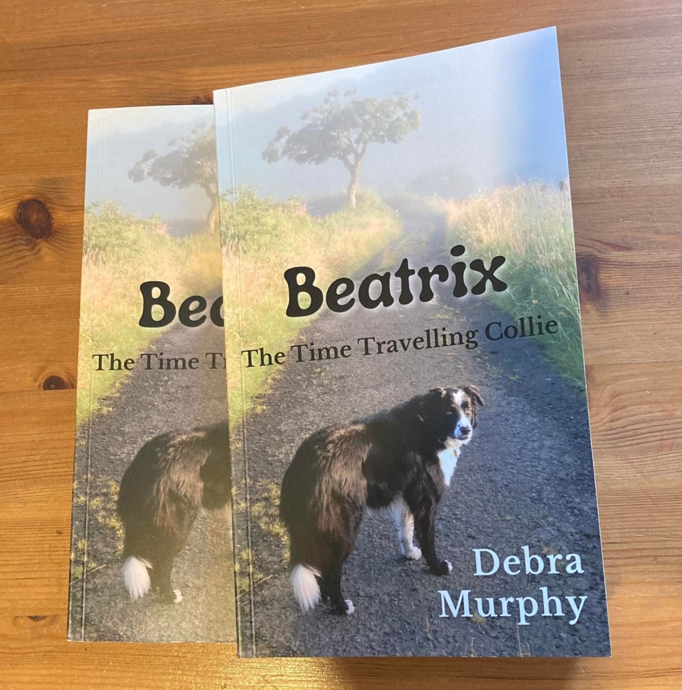 Beatrix The Time Travelling Collie