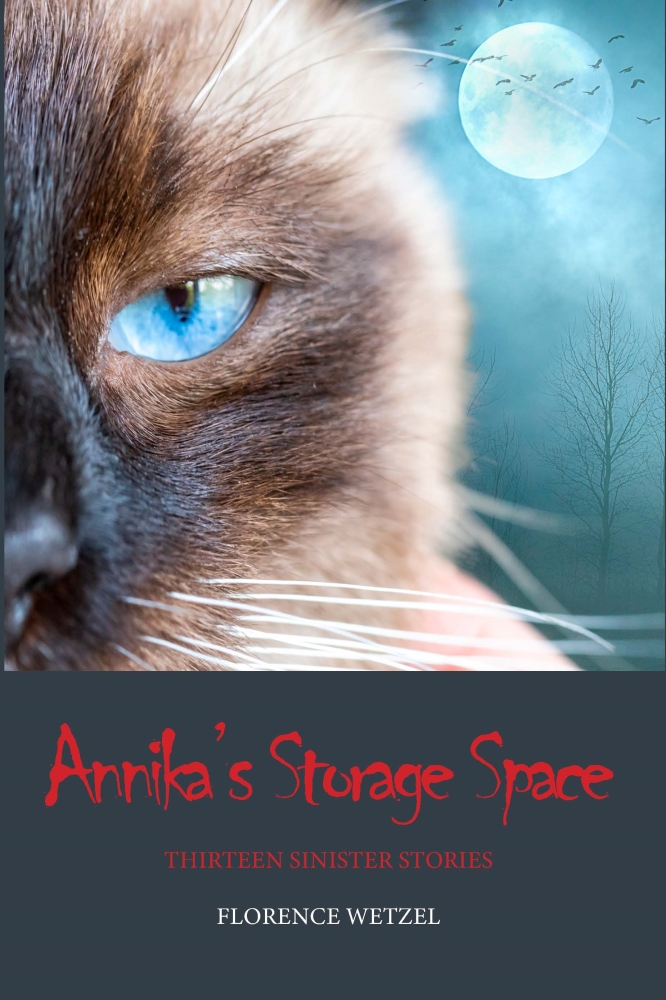 Annika's Storage Space: Thirteen Sinister Stories