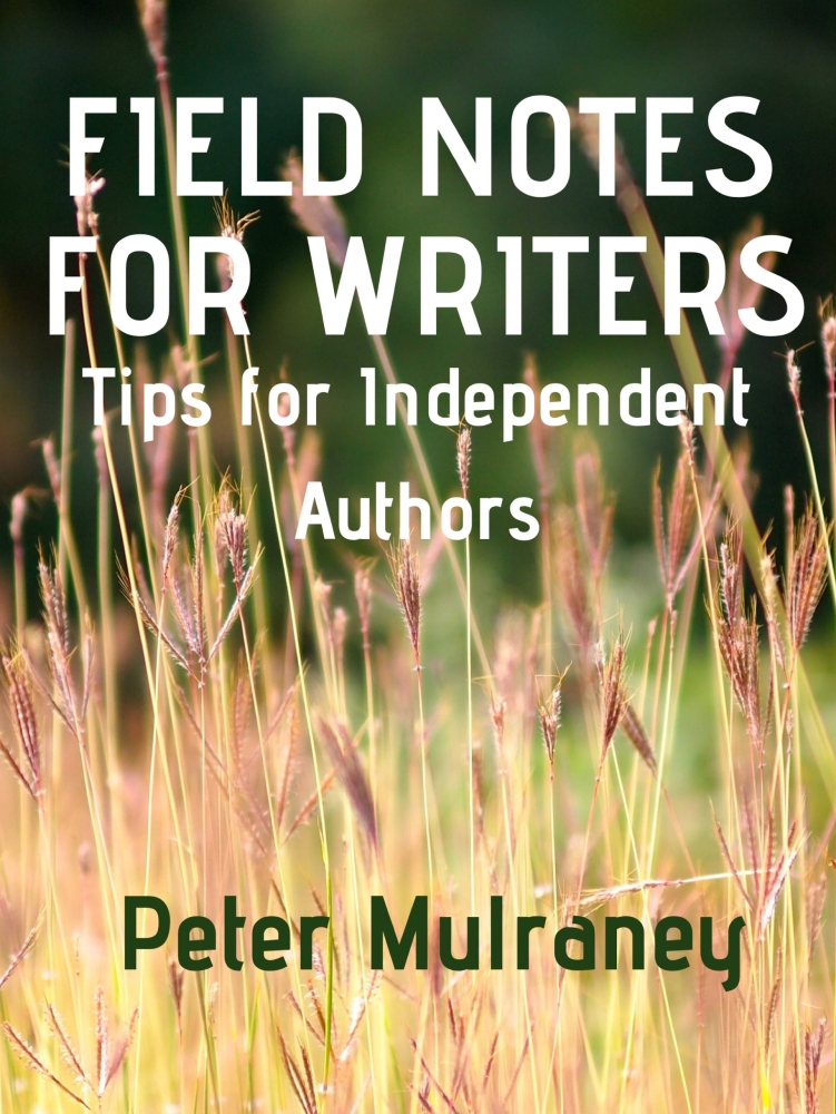 Field Notes For Writers: Tips for Independent Authors 