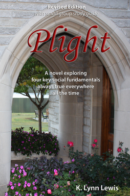 Plight, Revised Edition with small group study guide