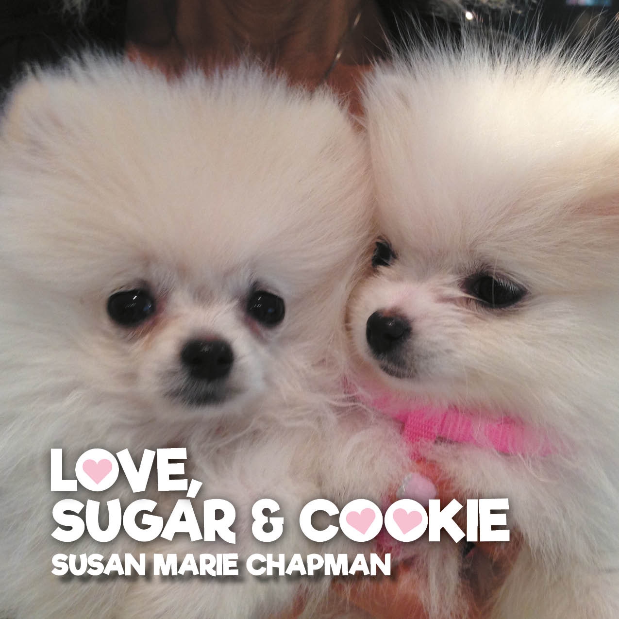 Love, Sugar & Cookie